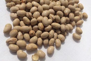 簡単混ぜて冷やすだけのカッサータ